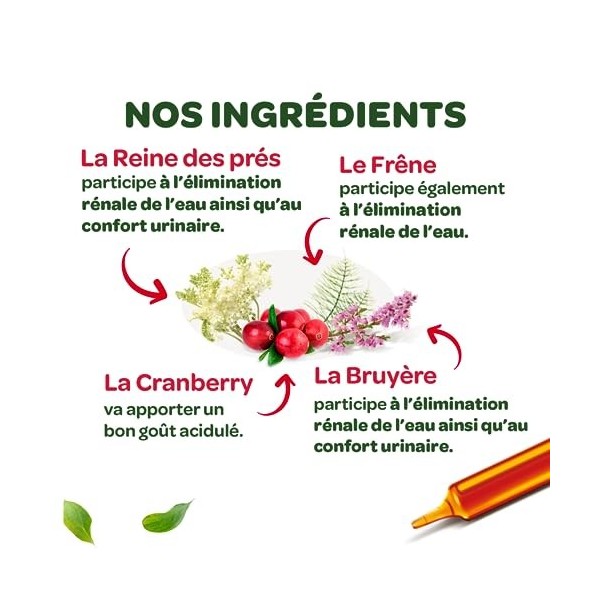 SUPERDIET- QUATUOR CONFORT URINAIRE BIO - Reine des prés, Bruyère, Frêne, Cranberry - Format nomade - 20 Unidoses de 15 ml