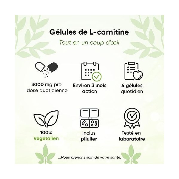 L-carnitine 320 gélules | 3000 mg par jour | Pour 3 Mois| Avec boîte à pilules | gélules à haute dose de L-carnitine | 100% v