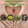 Detox foie Bio certifié Ecocert • Chardon-Marie + Artichaut + Pissenlit + Romarin • Draineur & Elimination des Toxines • Prot