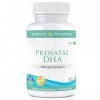 Nordic Naturals, Vegan Prenatal DHA, 500mg de DHA Végétalien à Partir dHuile dAlgues, 60 Capsules molles végétaliennes, Tes