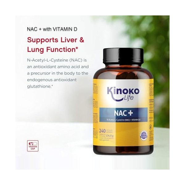 NAC+ 240 Capsules à la Vitamine D de Kinoko Life, Supplément 300 mg N-acétyl-L-cystéine pour la santé immunologique, booster 