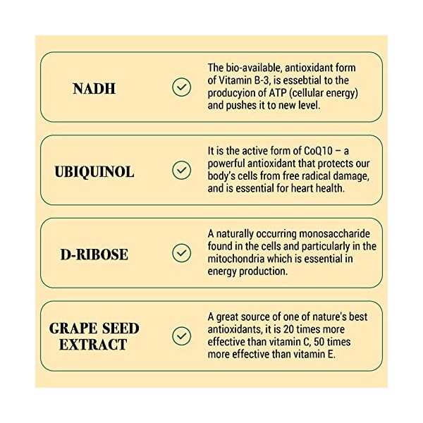 NADH 50mg Plus 200mg CoQ10, boost dénergie et antioxydant, Fortement dosé | Haute absorption, 60 gélules