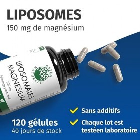 Magnésium liposomal | 120 gélules | Végétalien | Taux dabsorption de 99% | 332 mg de citrate de magnésium par gélule | Green