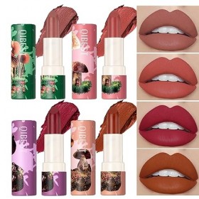 4pcs Rouge à Lèvres Mat, Rose Nude Velours Soyeux Brillant à Lèvres,Non Collant Tasse, Imperméable Longue Durée Rouge à Lèvre