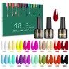 SINZONeu Vernis Semi Permanent-23 Vernis Manucure Nail Art Lot Vernis à Ongles Gel UV LED Nail Polish Soak Off 20 Couleurs Po