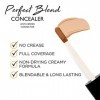 SUMMIT.g Perfect Blend Liquid Concealer Corrige les contours Souligne efficacement tous les types de peau Formule crémeuse ré