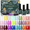 Anicco Vernis Semi Permanent - 27 pcs Lot Vernis à Ongles Nail Gel UV LED Manucure Nail Polish Soak Off 24 Couleurs Populaire