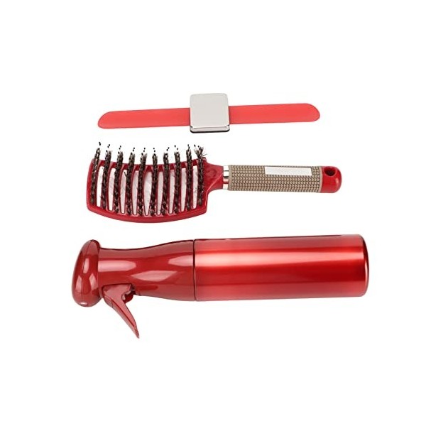 dsheng Hair Spray Bottle, Styling Tool Curved Vent Brush Hair Clip Bandeau Professionnel Pour Femmes Hommes Salon De Coiffure