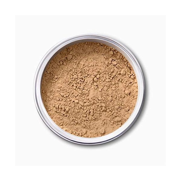 EX1 Cosmetics Pure Crushed Fond De Teint Poudre Minérale 8G 3.0 