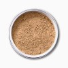 EX1 Cosmetics Pure Crushed Fond De Teint Poudre Minérale 8G 3.0 