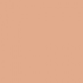 REVLON PHOTOREADY SKINLIGHTS ILLUMINATEUR POUR LE VISAGE N°300 CLAIR PEACH