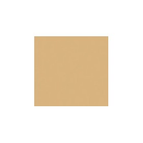 Fondotinta Lepo CC compact foundation & corrector 10 ml - 03 nude