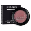 PQMKCOP01 Postquam Blush 1 fard à joues aquarelle