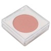 Fard à Joues en Poudre, Fard à Joues Mat, Palette de Fards à Joues en Poudre Nude pour Femmes, Poudre Cosmétique Longue Durée