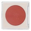 Fard à Joues en Poudre, Fard à Joues Mat pour le Visage, Palette de Blush en Poudre Nude pour Femme, Poudre de Joues Cosmétiq