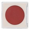 Fard à Joues en Poudre, Fard à Joues Mat pour le Visage, Palette de Blush en Poudre Nude pour Femme, Poudre de Joues Cosmétiq