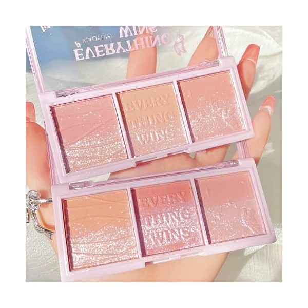 Palette blush 3 ombres, Palette blush et poudre fluorescente luminescente, Palette bronze et blush, blush, blush durable et b