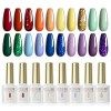 ROSALIND Vernis Semi Permanent Automne 20Pcs Lot Vernis à Ongles Gels Semi-permanents avec Base et Top Coat Matt, UV LED Soak