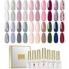 ROSALIND Vernis Semi Permanent Automne 20Pcs Lot Vernis à Ongles Gels Semi-permanents avec Base et Top Coat Matt, UV LED Soak