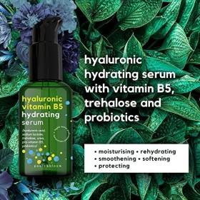 BIO Serum Acide Hyaluronique - Creme Hydratante Visage - Creme Anti Rides Femme - GRAND 50 ml - Hautement Dosé Vitamine&nbsp;B5 Pr