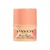 Payot 3en1 My Regard Glow Stick Teinté Antifatigue, 4.5 g 1 Unité Lot de 1 