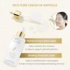 THANKYOU FARMER Rice Pure Cream In Ampoule 50ml - Sérum éclaircissant pour la peau, Glass Skin Korean Skincare, Extraits excl