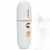 Visage Nano Mist Sprayer Portable Hand Moisturizing Skin Care Moisturizer Hand Moisturizer For Sprays Mist Pour La Peau Sèche