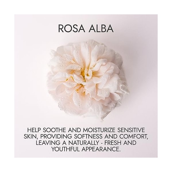 Alteya Organic Eau de rose blanche bulgare 120 ml Spray Bioglass - Certifiée 100% organique USDA, pure, naturelle, Eau floral