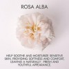 Alteya Organic Eau de rose blanche bulgare 120 ml Spray Bioglass - Certifiée 100% organique USDA, pure, naturelle, Eau floral