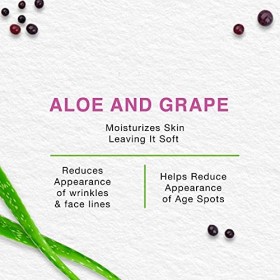 Himalaya Herbals Anti-Wrinkle Cream 50g | Prévient les rides, hydrate et régénère la peau du visage | Un traitement naturel p