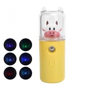 Brumisateur Facial Nano Portable, Mini Vaporisateur à Vapeur pour le Visage, Hydratant et Hydratant, Pulvérisateur à Brume Pr