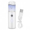 Pulvérisateur à brume pratique, USB portable Nano Facial Mist Spray, Humidifier Steamer Cool Rechargeable soins peau Nettoyag