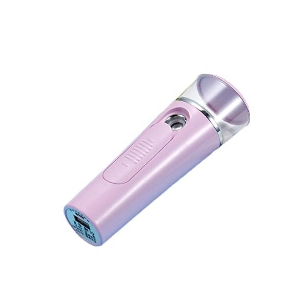 FRCOLOR Pulvérisateur Facial Pulvérisateur À Main à Vapeur Banque Portable Hydratant Rose Pulvérisateur électrique Machine Hy