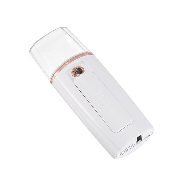 minkissy 1 PC Pulvérisation Appareil Hydratant Électrique Visage Vapeur Brouillard Pulvérisation Humidificateur Visage De Pul