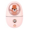 Yctze Nano Facial Mister, 35ml Cute Animal Facial Mist Sprayer USB Rechargeable Mini Eye Face Humidifier Portable Facial Stea