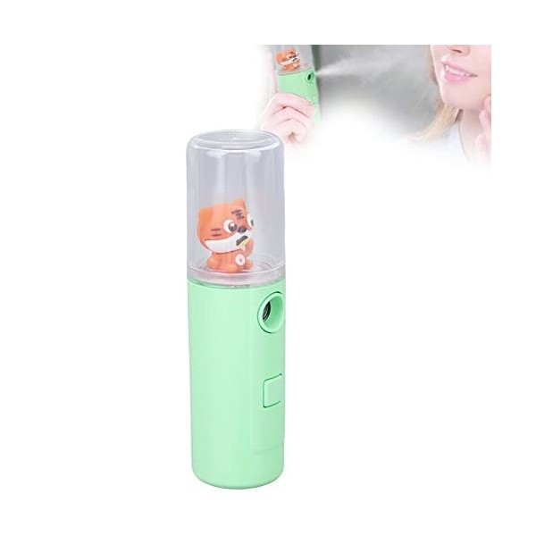 Visage Nano Mist Sprayer Portable Moisturizing Mains Mains Hydratant Moisture Moisture Mains pour Spray Mist Pour Huiles sèch