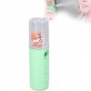 Visage Nano Mist Sprayer Portable Moisturizing Mains Mains Hydratant Moisture Moisture Mains pour Spray Mist Pour Huiles sèch