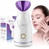 Vapeur Visage, Vaporisateur, Kingsteam Sauna Spa Facial, Vapozone, Nano Ionique Visage Steamer Humidificateur Appareil, Netto