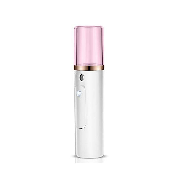 Vaporisateur Facial Nano en Option Rose et Blanc, Pulvérisateur de Brume Hydratante pour Garder les Poils du Visage Hydratant