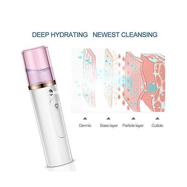 Vaporisateur Facial Nano en Option Rose et Blanc, Pulvérisateur de Brume Hydratante pour Garder les Poils du Visage Hydratant