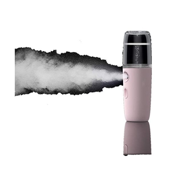 Spray Nano Brume Visage Mister Bouteille À Vapeur Hydratante Portable 30 Ml Pulvérisateur Hydratant Pour Le Visage Instrument