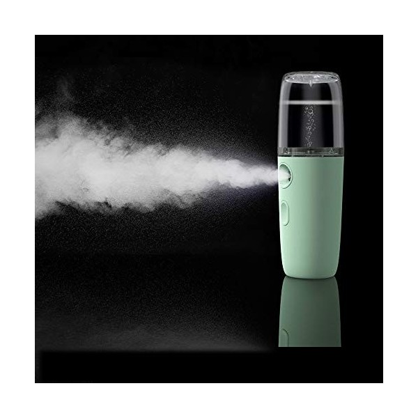 Spray Nano Brume Visage Mister Bouteille À Vapeur Hydratante Portable 30 Ml Pulvérisateur Hydratant Pour Le Visage Instrument