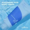 IsNtree Crème hydratante à lacide hyaluronique 100ml 3.38 fl.oz | équilibre lhuile et lhumidité | Hydratant en profondeur