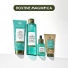 Sanoflore Crème Magnifica - Crème visage Hydratante Matifiante anti-imperfections Certifié Bio - Lise, Purifie, & Matifie les