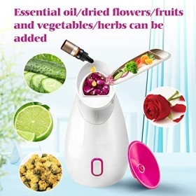 Vaporisateur Facial Sauna Nano Ionic Professionnel pour le Visage - Kit de Soins de la Peau Chaude pour le Visage à Domicile,