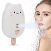 HEIMP Face Sprayer, Protable USB Nano Self Defense Alarm Mist Spray Humidifier Face Hydration Sprayer Facial Steamers Humidif