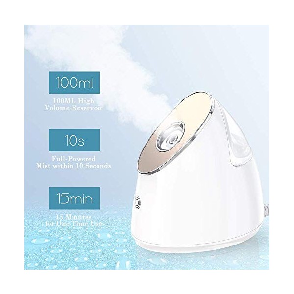 DiiDa Vaporisateur facial nano ionique à brume chaude pour le visage, le sauna, le spa, lhydratation, le débouchage et le ne