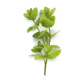 Payot Pate Grise Concentré Anti-Imperfections 30ml