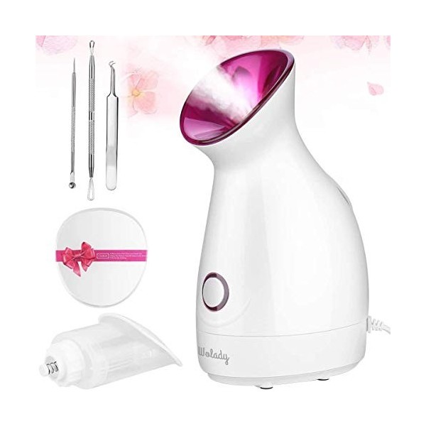 Vapeur Visage Vaporisateur Sauna Spa Facial Chaude Nano Ionique, Wolady Visage Steamer Humidificateur Appareil Outils Nettoya