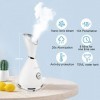 Vapeur Visage Vaporisateur, Face Steamer Facial Visage Sauna Spa Nano Ionic Appareil à Vapeur Pour Le Visage Visage Nettoyant